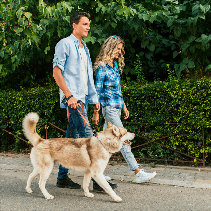 Assetz Properties in Bangalore, Kudlu Gate